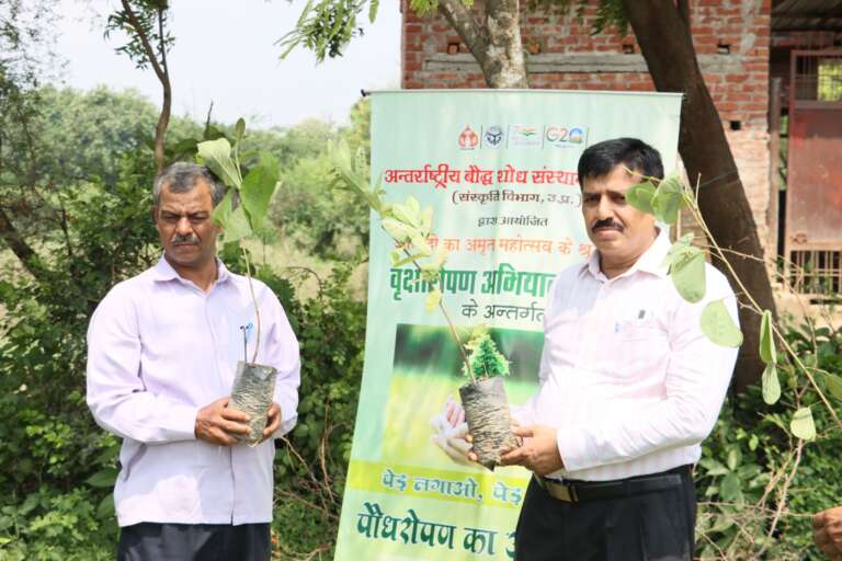 WhatsApp Image 2025-09-16 at 17.12.28